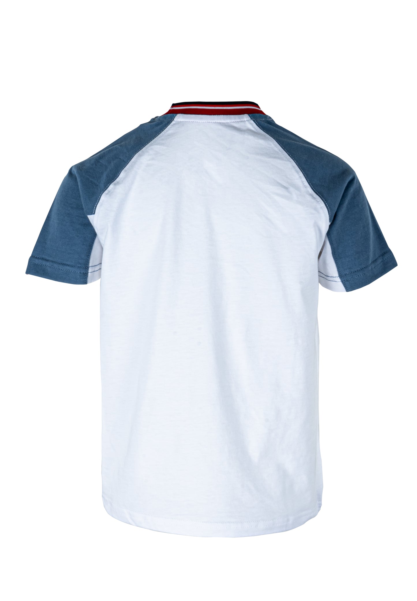 Osella Kids Hero Independence Regular T-Shirt Print In White And Contrast Color Sleeves