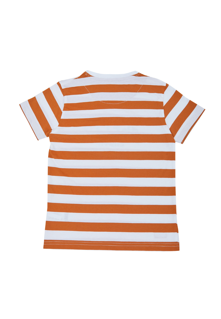 Osella Kids Earth Collection Striped T-Shirt In White And Brownie