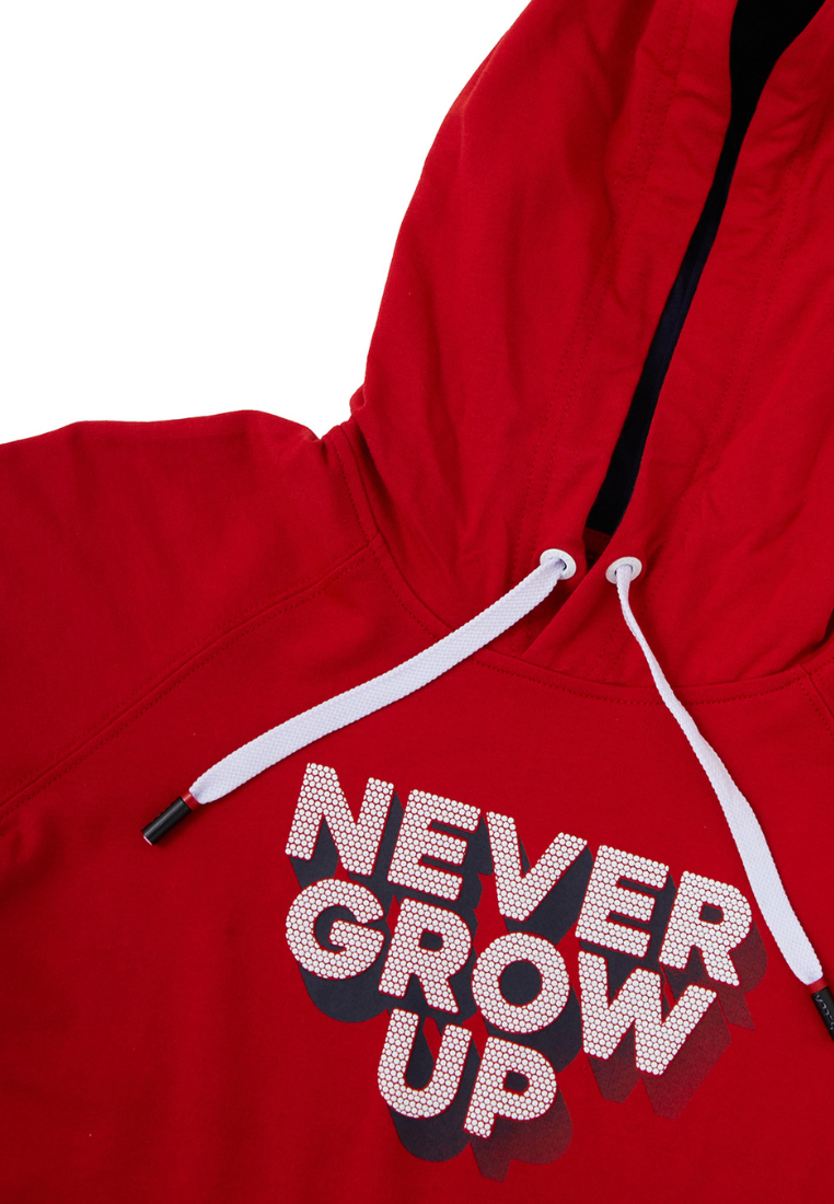 Osella Kids Lunar Regular Hoodie Graphic T-Shirt In Red