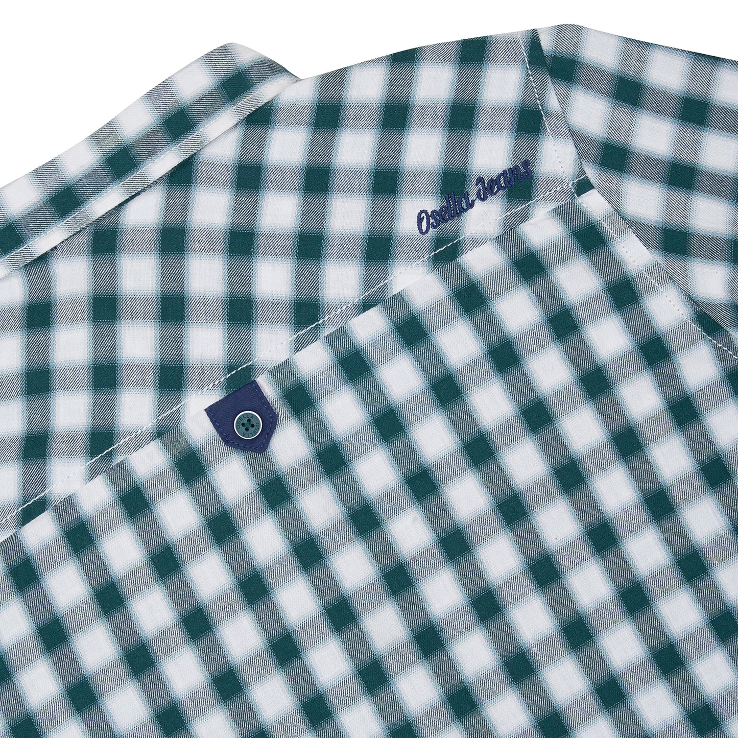 Osella Jordan Checkered Regular Shirt In Green And White