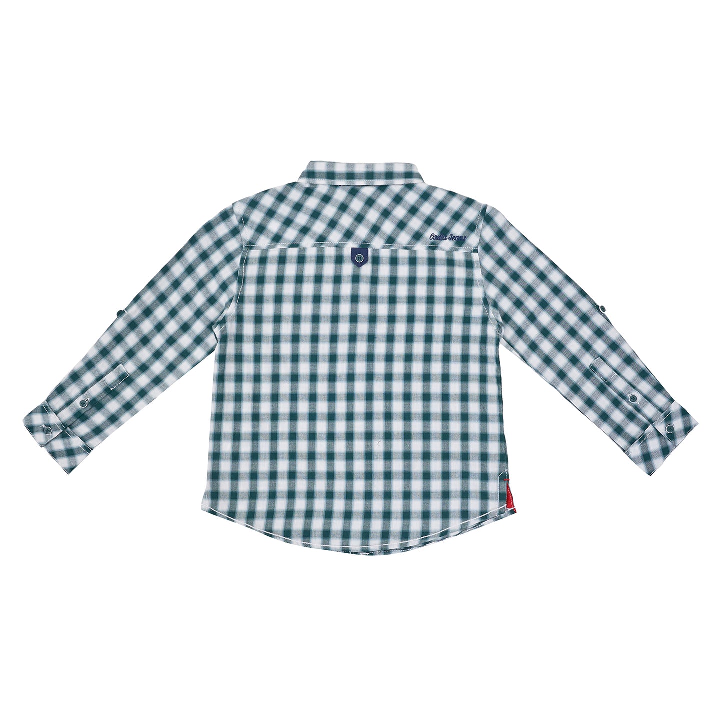 Osella Jordan Checkered Regular Shirt In Green And White