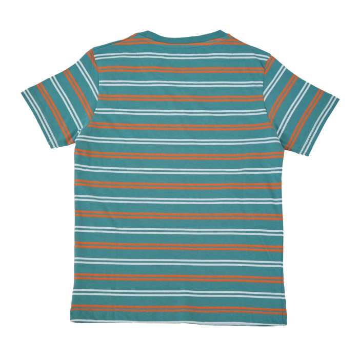 Osella Kids Boy Multicolor Regular Fit Stripe T-Shirt In Wasabi