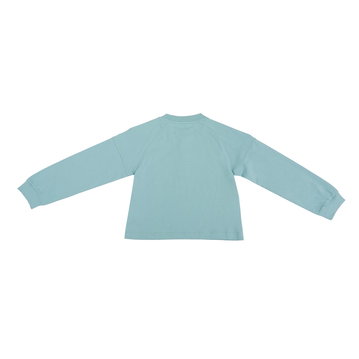 OSELLA LONG SLEEVE SOLID RAGLAN T-SHIRT IN SAGE GREEN 2377500269